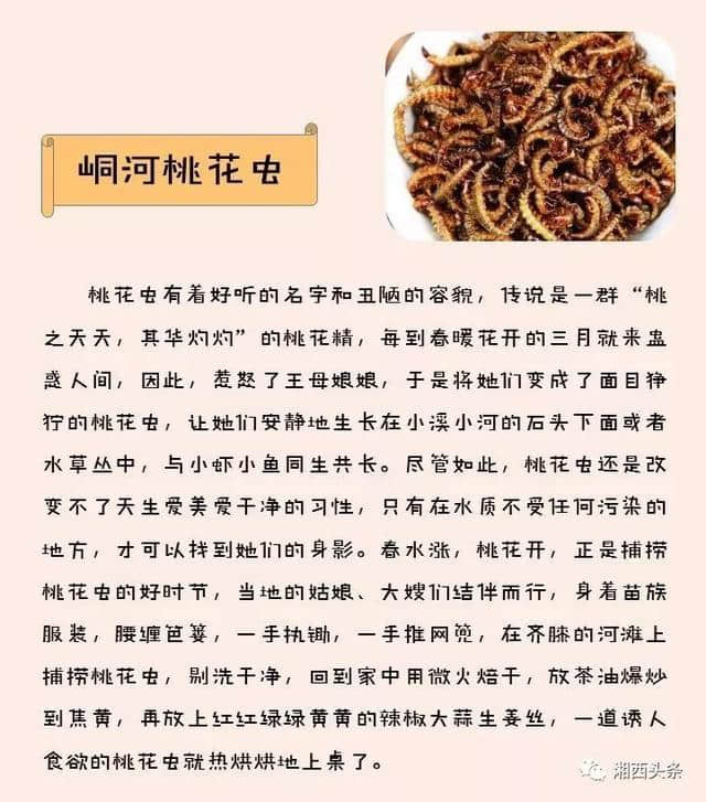 湘西特色美食竟然都在这图里了！