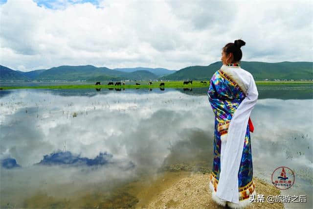 香格里拉神奇的避暑地，夏秋季是一片海，春冬季是一片草原