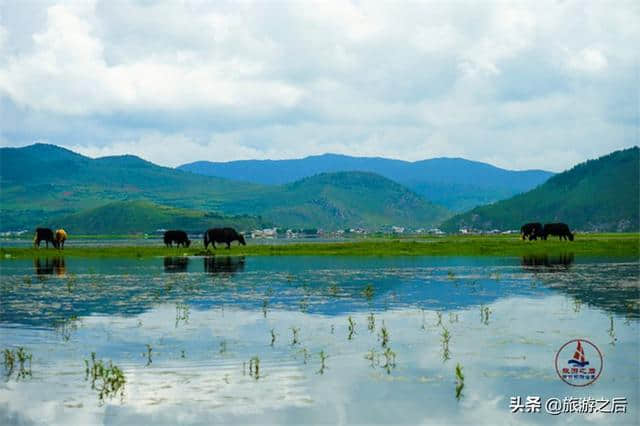 香格里拉神奇的避暑地，夏秋季是一片海，春冬季是一片草原