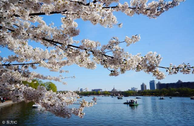 国内最受好评的景区在这座城：4A景区门票2块，众多景点门票10块