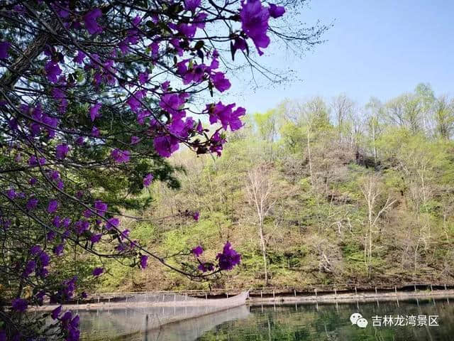 5月19中国旅游日——吉林龙湾群国家森林公园人气就这么旺