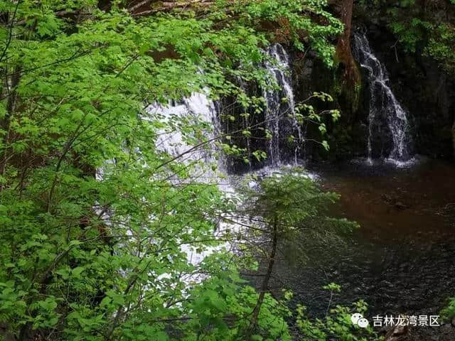 5月19中国旅游日——吉林龙湾群国家森林公园人气就这么旺