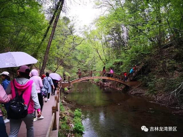 5月19中国旅游日——吉林龙湾群国家森林公园人气就这么旺