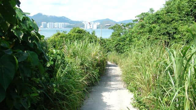 香港旅游好去处之——南丫岛