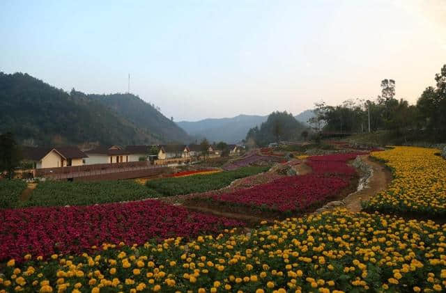 国家旅游局局长李金早调研江西旅游工作