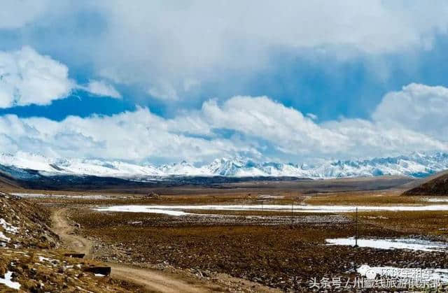 大美山南：美伴山南旅人的梦！