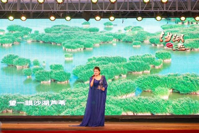 2019清凉宁夏·宁夏农垦集团专场文艺演出精彩上演