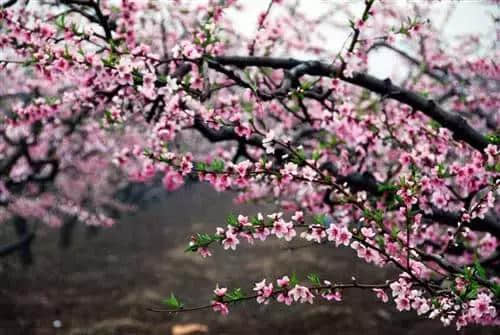 北京这些超适合一日游的小众景点路线，私藏着春天最纯粹的美景！