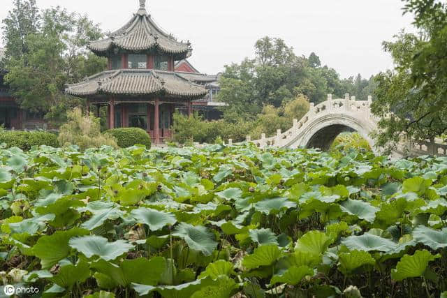 这周末，保定市多个景区免门票啦！快转给身边的朋友