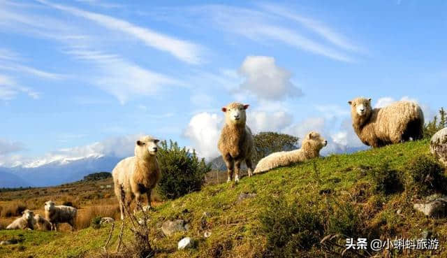 英国自由行最新游玩攻略-英国特色景点及玩法推荐