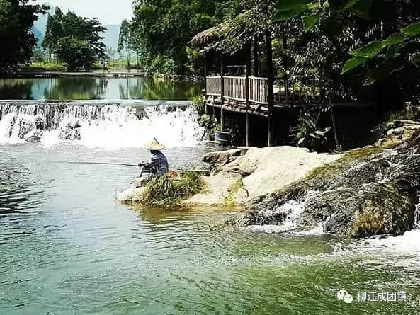 「傲娇了」“我最爱的柳州美丽乡村旅游地”榜单出炉，柳江这三个地方强势入选！