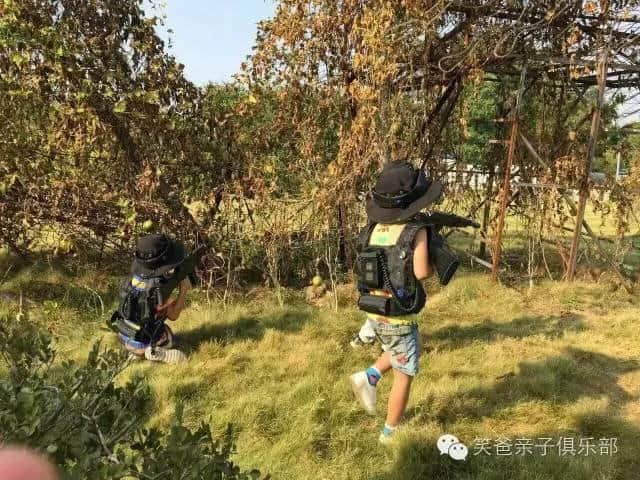 「傲娇了」“我最爱的柳州美丽乡村旅游地”榜单出炉，柳江这三个地方强势入选！