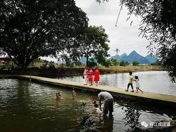 「傲娇了」“我最爱的柳州美丽乡村旅游地”榜单出炉，柳江这三个地方强势入选！