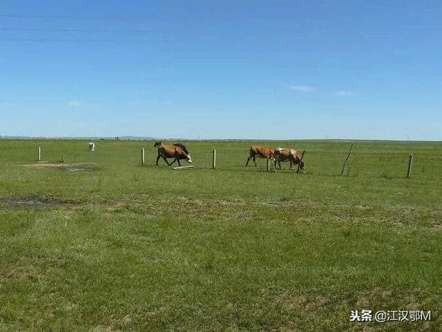 中国六条最经典自驾线路推荐，国内自驾游好去处线路盘点