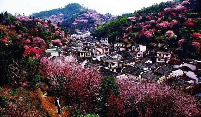 互动｜怎么抓住游客的心，让乡村旅游持续发热？