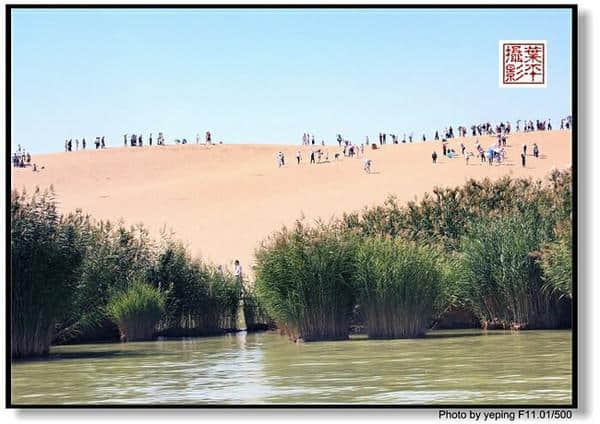 回乡宁夏：沙湖生态旅游区