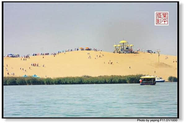 回乡宁夏：沙湖生态旅游区