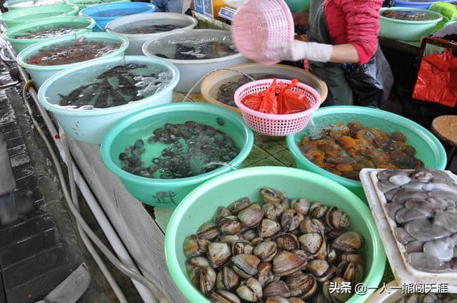 春节假期，国内旅游的最佳去处，没有之一