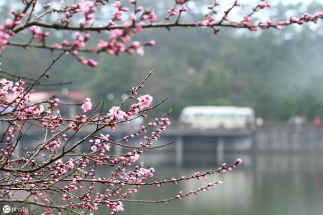 清明来北京旅游？让行人“欲断魂”的，不一定是“清明雨纷纷”