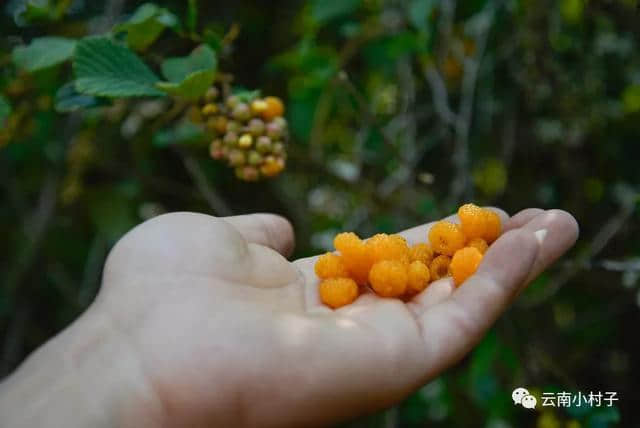 边境上的佤寨永俄，到西盟旅游一定要去看看