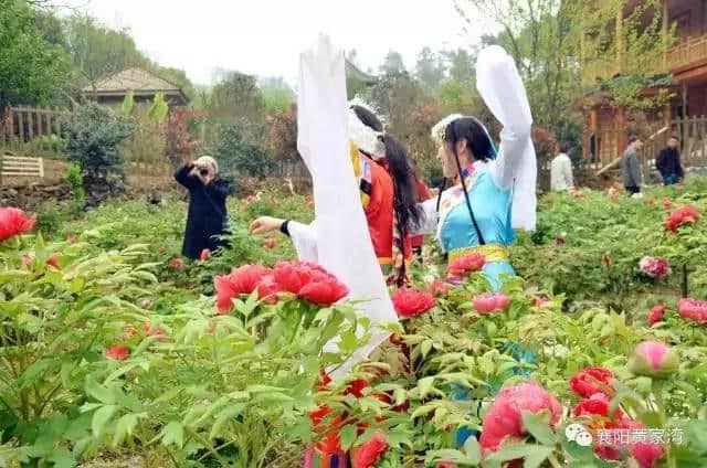 清明假期306.8万人次游襄阳！襄阳旅游“掀热浪”