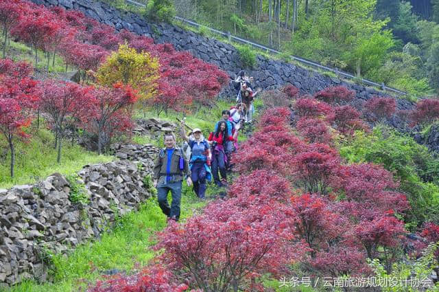 云南省户外运动旅游发展的重点任务