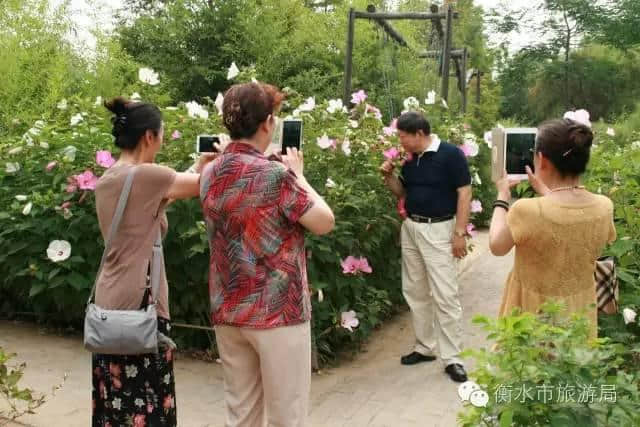 衡水市旅游局与北京旅游资源深度对接，面向京津旅游合作进一步迈出实质性步伐！