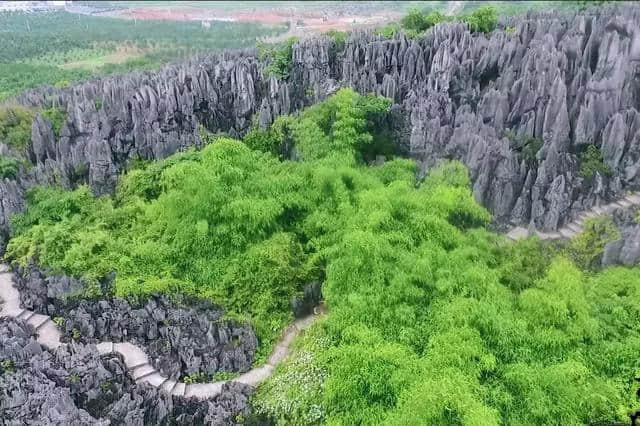 广西乡村旅游线路之梯田赏花乡村游攻略：下一站，富川！