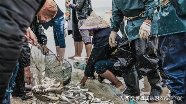 环境优美，依山傍海的“洗肺圣地”——山东长岛府运渔家