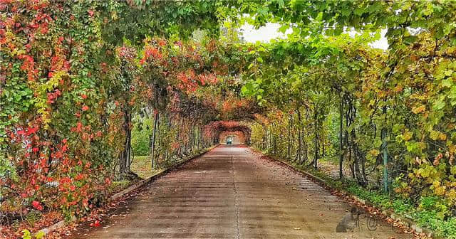 旅游景点；辽宁本溪自然风光本溪水洞，关山枫叶