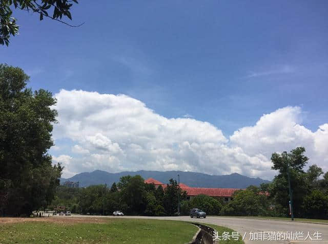 客观评价马来西亚旅游业-游亚庇的美人鱼岛沙巴岛环摊岛感触