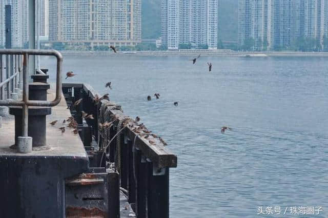 香港旅游攻略｜香港除了市区，还有塔门岛值得一去