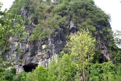 快约起！5月19日国际旅游日，肇庆这些景区有优惠~