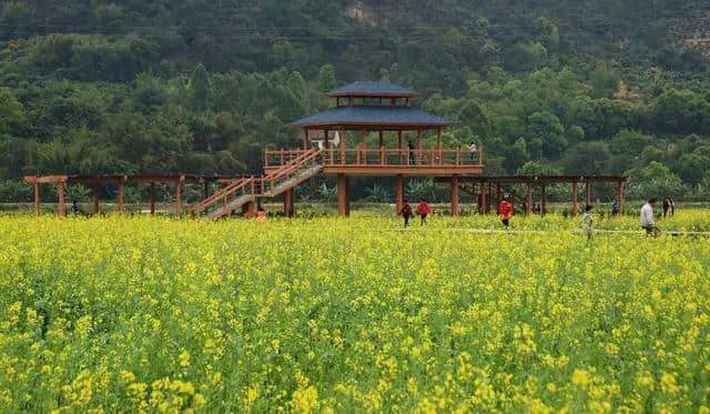 快约起！5月19日国际旅游日，肇庆这些景区有优惠~