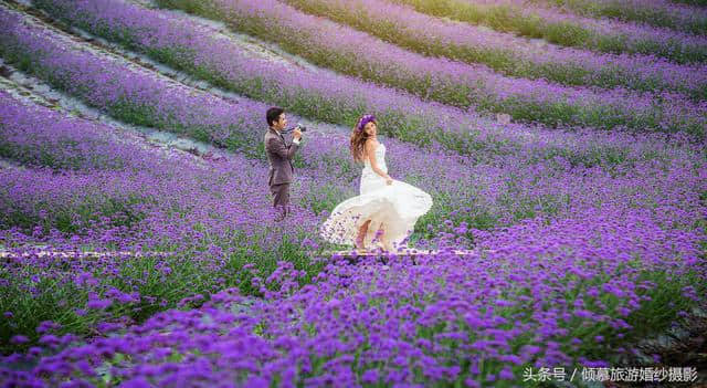 在青岛 春天去哪儿拍婚纱照？