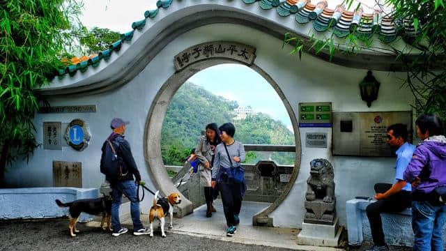 香港旅游如果只有一天时间 推荐这两个景区 一个地标景点一个免费