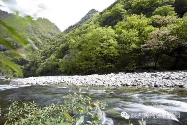 5.19中国旅游日 黑河景区大放价，快、快、快分享！