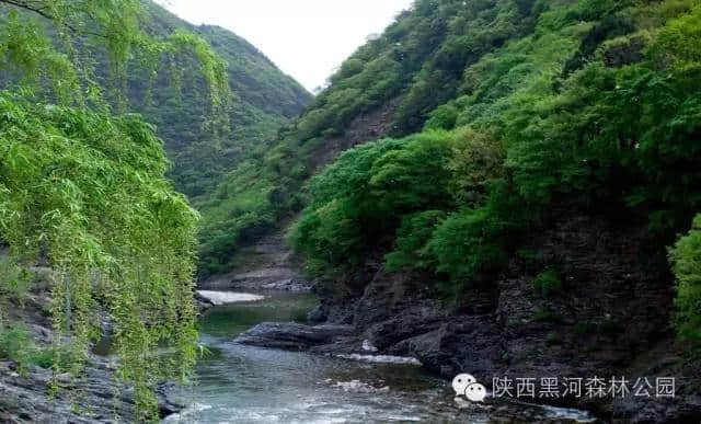 5.19中国旅游日 黑河景区大放价，快、快、快分享！