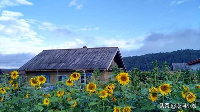 2019漠河-北极村-北红村旅游，最新最全纯玩自由行攻略，收藏备用