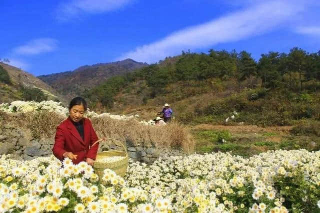 全免票!豫皖鄂这100多原生态古村落,无商业气息!老驴友春游必去！