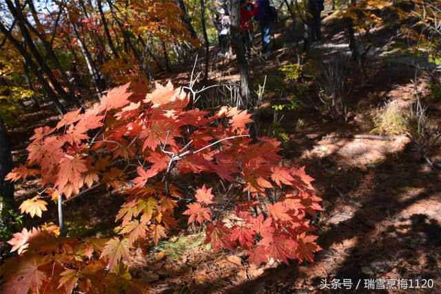 「本溪旅游」国庆游桓仁五女山