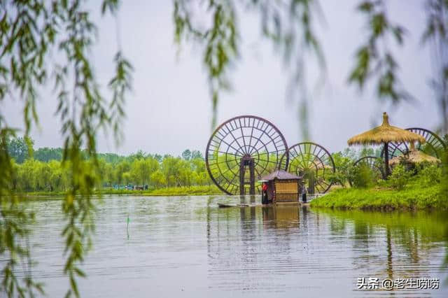 湖北仙桃：一个“网红”景点走红的背后