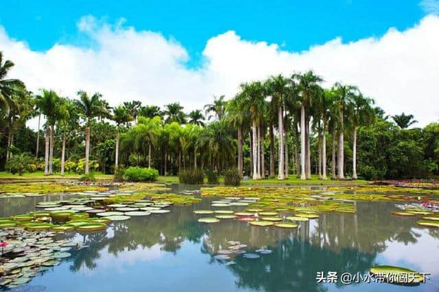 香格里拉的传奇，梅里雪山的美丽，来云南旅游三天就能走遍