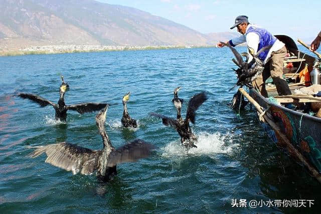 香格里拉的传奇，梅里雪山的美丽，来云南旅游三天就能走遍