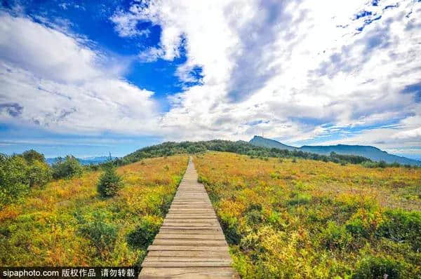 6月北京郊区最美旅行地！看了第一个就忍不住要出发！