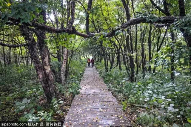 6月北京郊区最美旅行地！看了第一个就忍不住要出发！