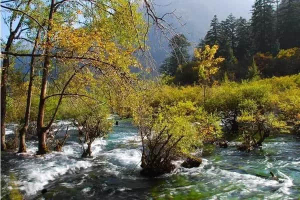 6月北京郊区最美旅行地！看了第一个就忍不住要出发！