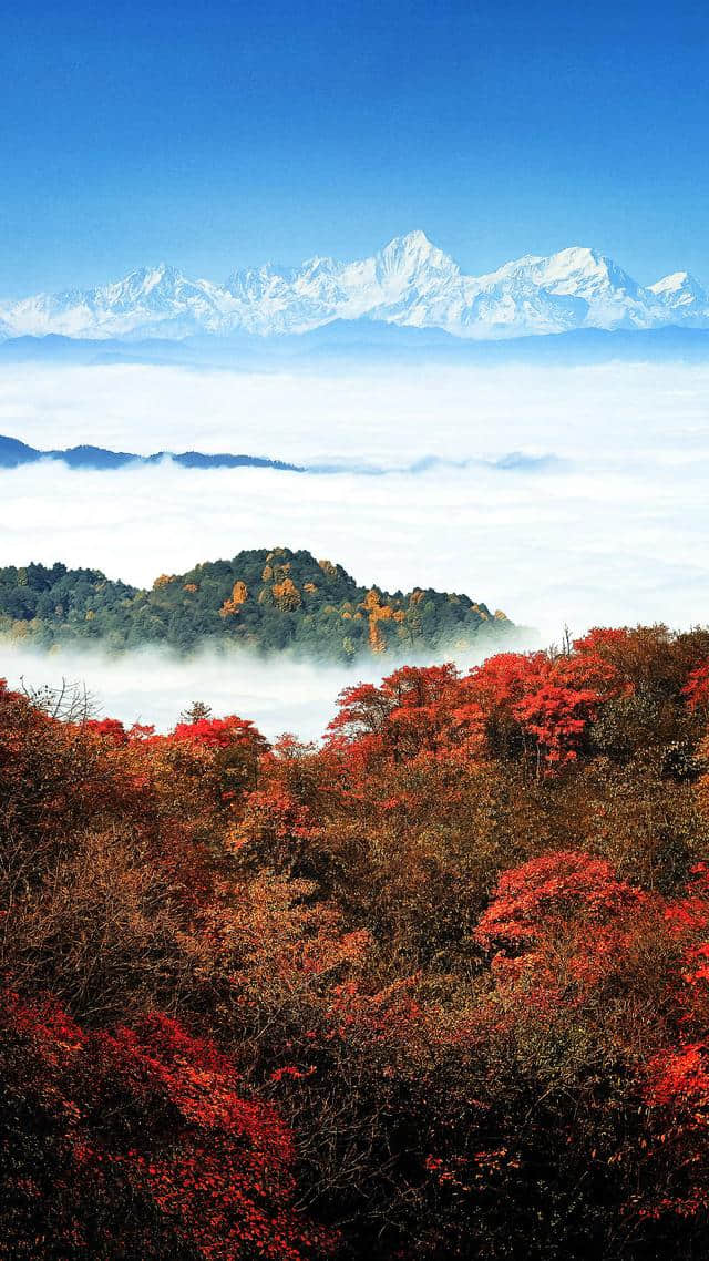 手机壁纸｜风景旅游图片