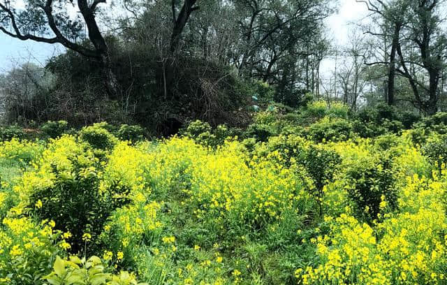 桂林徒步踏青赏景路线丨田园处处如诗画