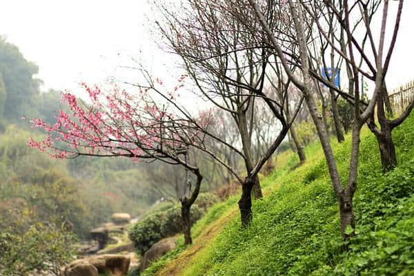 厦门最适合拍照的十大景点